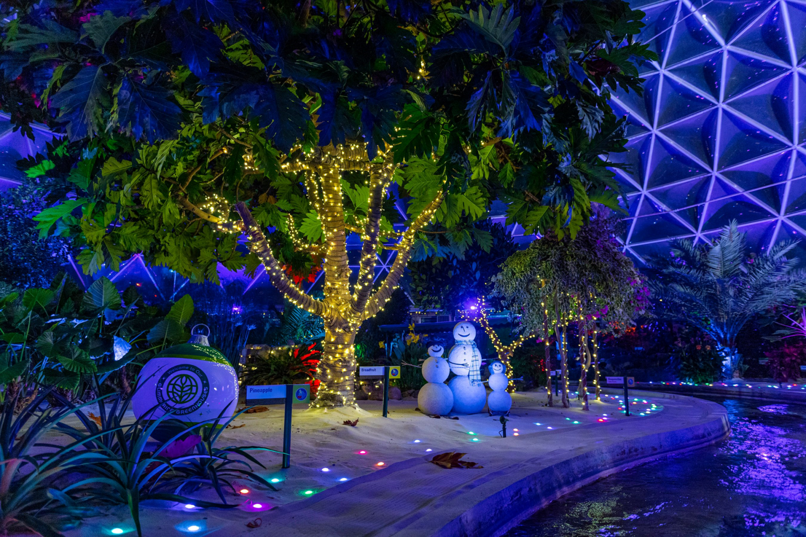 Living with the Land Glimmering Greenhouses holiday overlay with twinkling lights