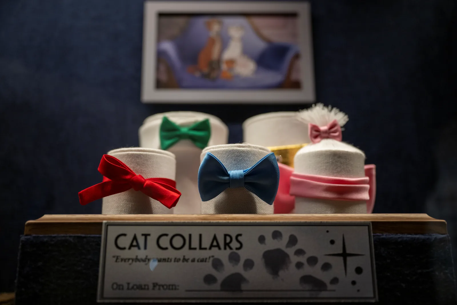 The Aristocats' collars on display