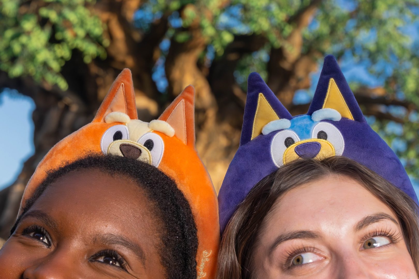 Bluey is Coming to Animal Kingdom this Month