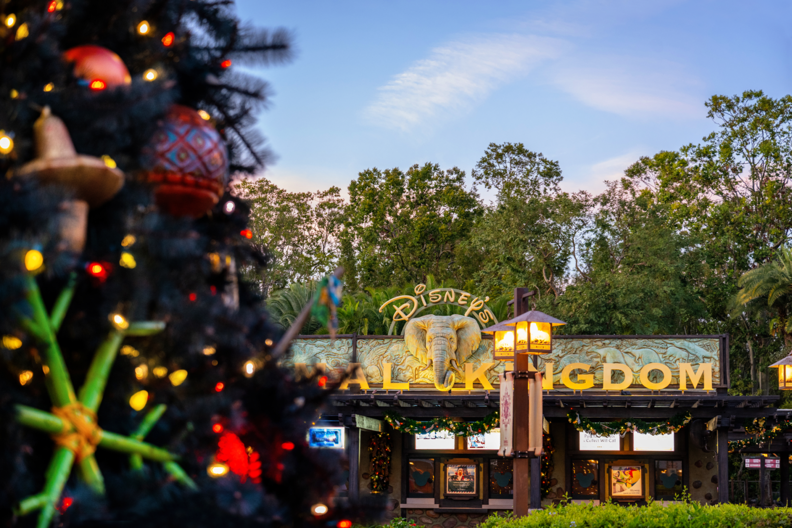 Animal Kingdom holiday character meet and greet