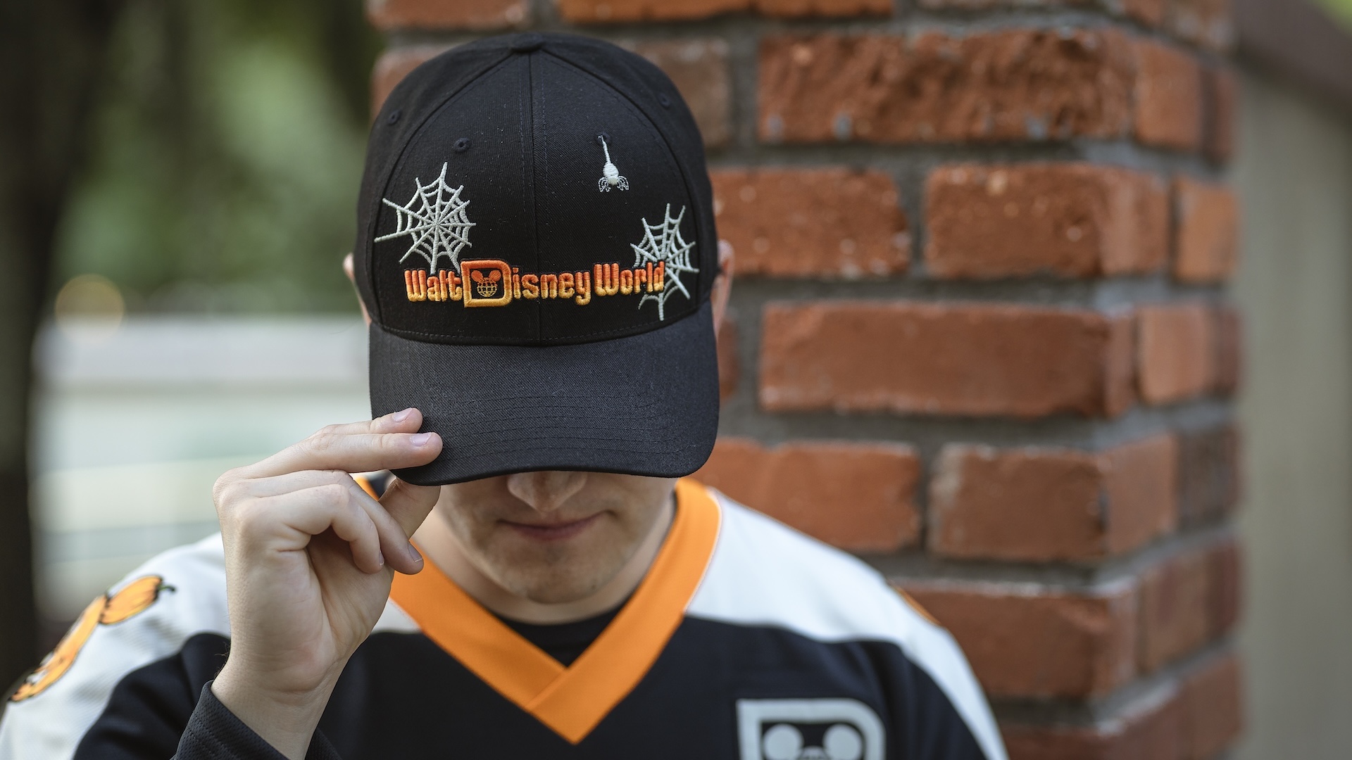 Spider web baseball hat