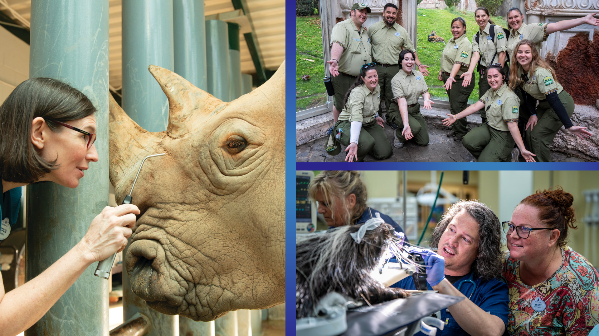 Animal Care team training session at Disney's Animal Kingdom