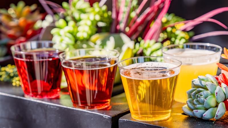 Paradise Beer Garden